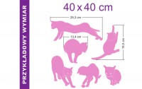 Koty o wymiarze 40x40 cm - naklejki samoprzylepne