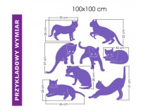 Kotki o wymiarze 100x100 cm - naklejka na cian