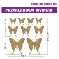 Motylki o wymiarze 50x50 cm - naklejki ścienne